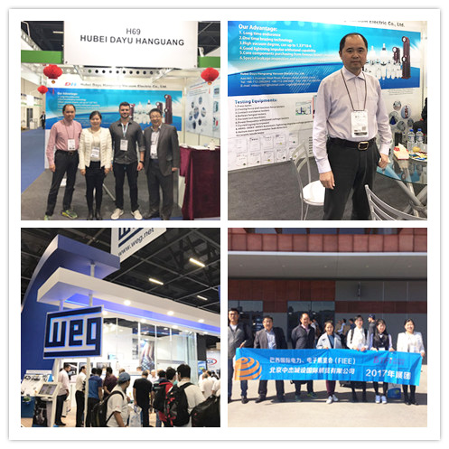 1502257283913609.jpg FIEE-02.jpg